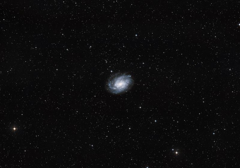 Photo of NGC 300