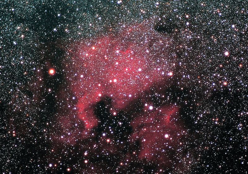 Photo of North America Nebula (NGC 7000)